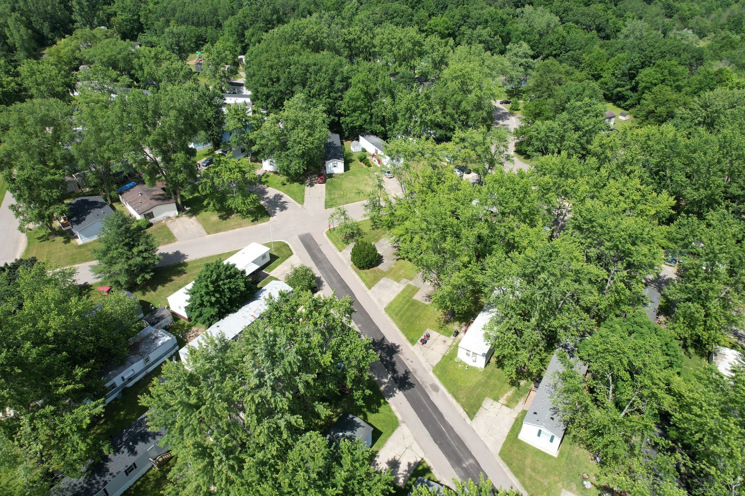 Homes and lawns beneath mature trees at Davison Hills