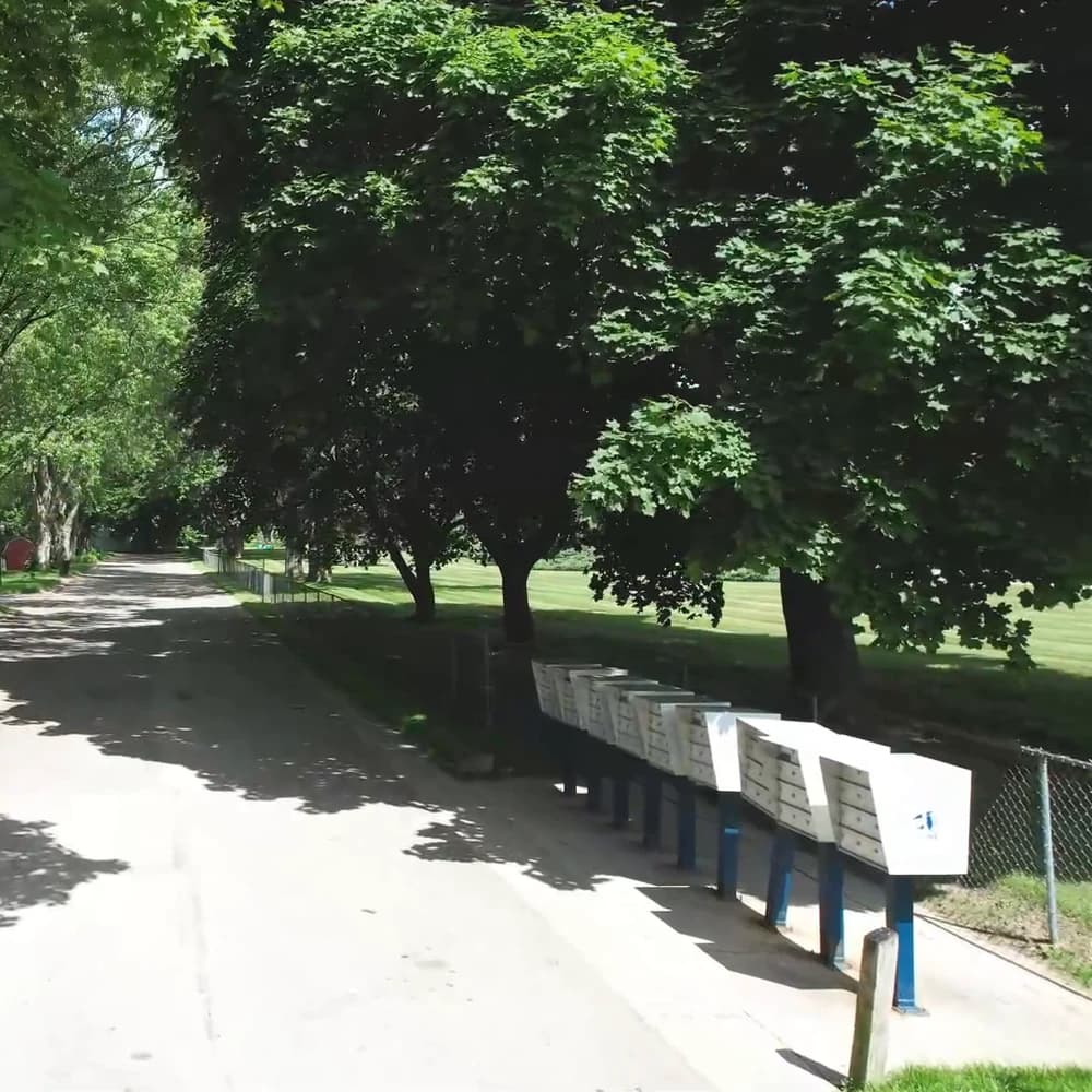 Individual mailboxes along a shaded Davison Hills street