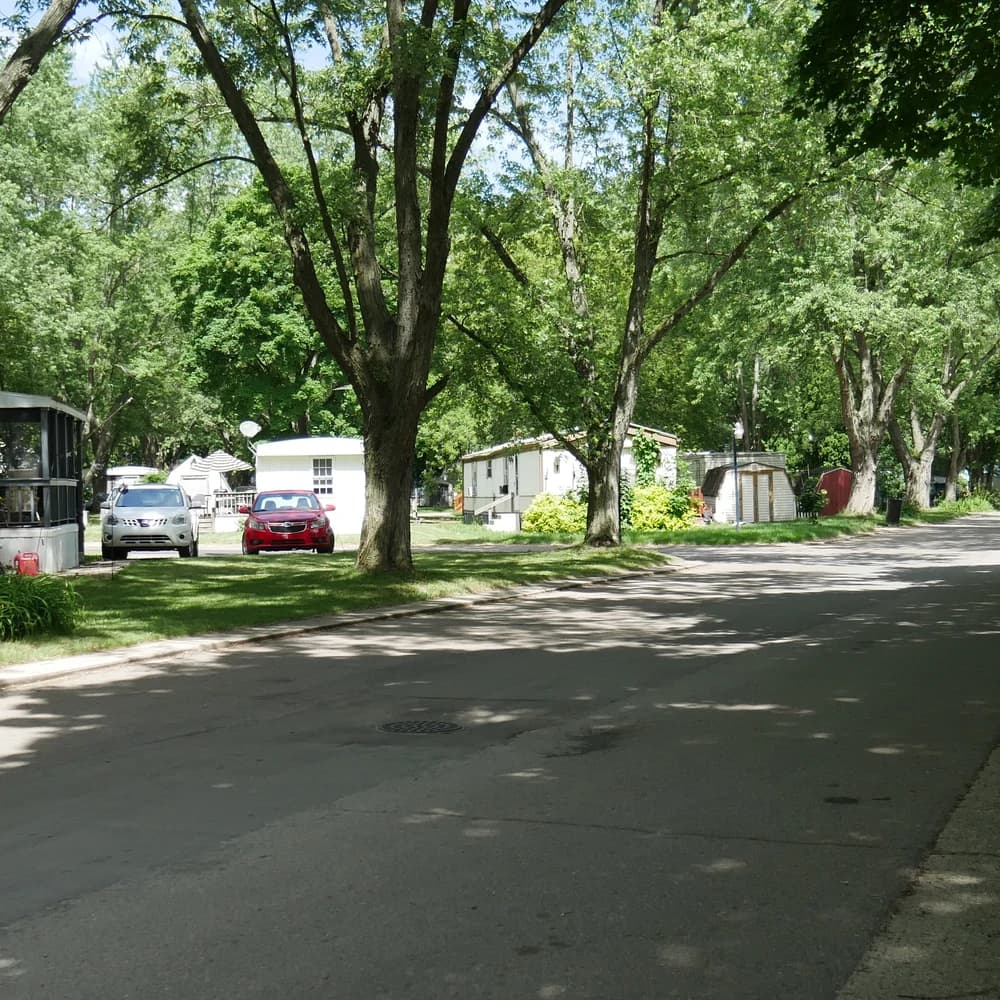 Shaded residential lane at Davison Hills