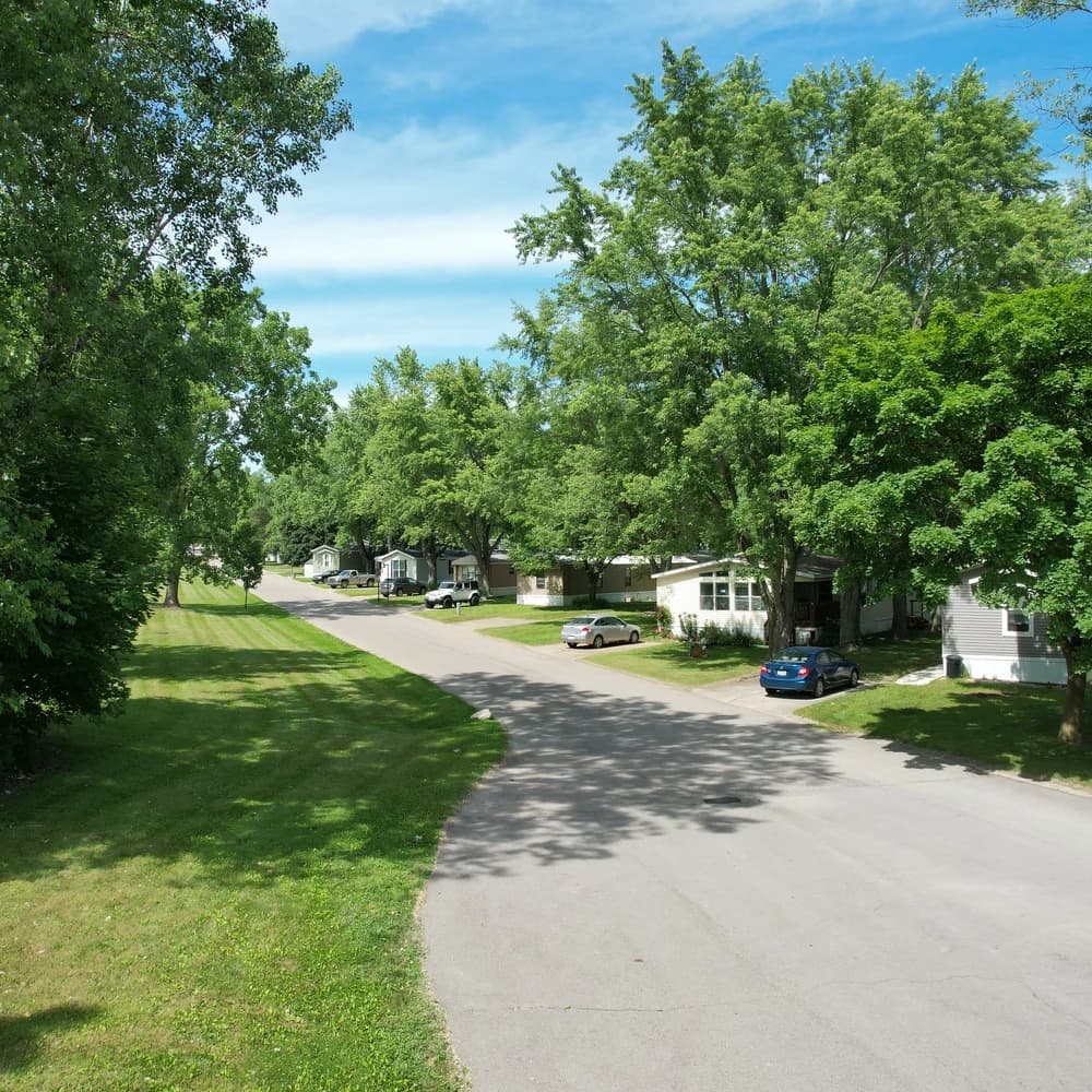 Homes beside a tree-lined street at Davison Hills