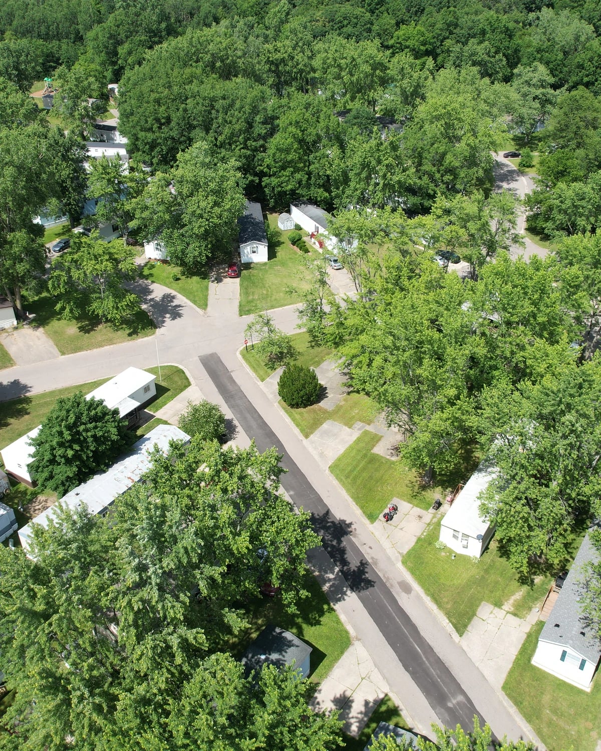 Homes and lawns beneath mature trees at Davison Hills