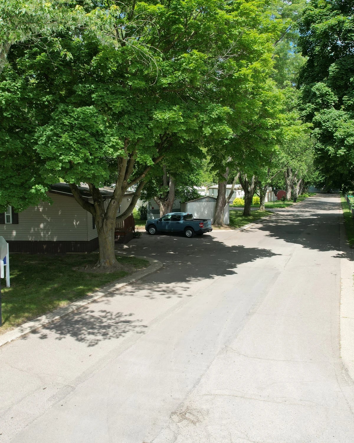Tree-lined entrance lane beside the Davison Hills office